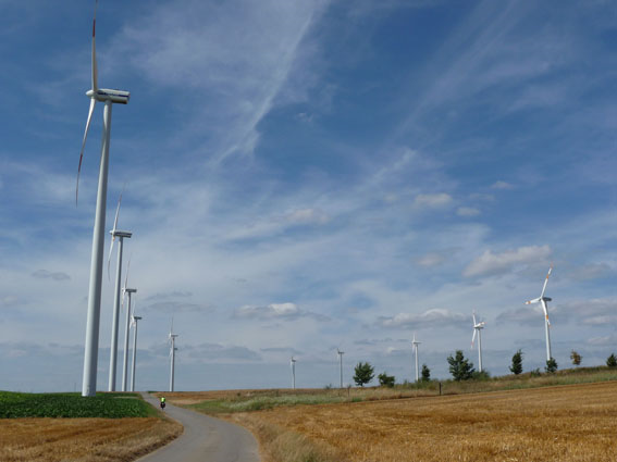 windfarm