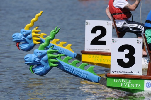 dragon heads 0237 infinite images