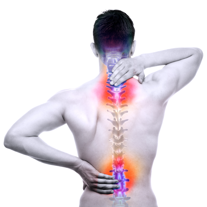 msd back pain