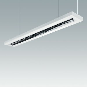 thornpunch2.300x0 is