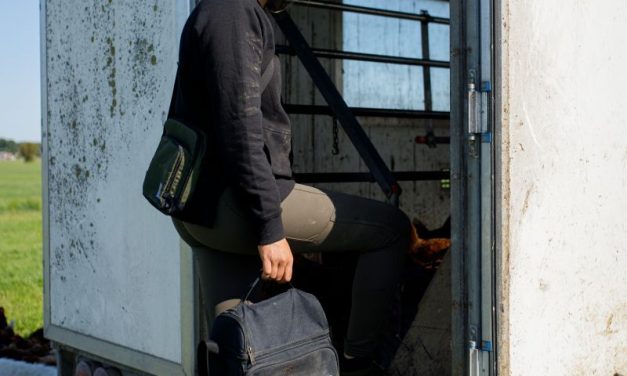 Keep your drinks and food fresh on site with Carhartt’s lunch coolers
