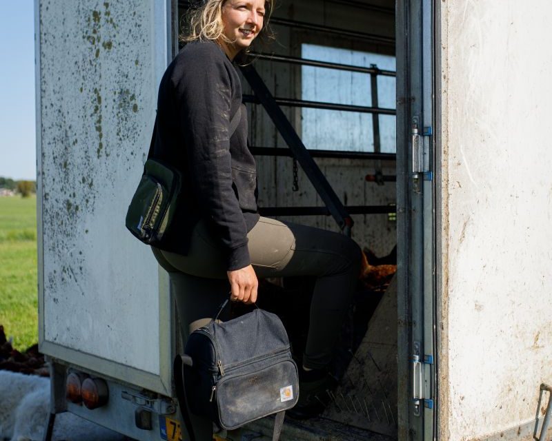 Keep your drinks and food fresh on site with Carhartt’s lunch coolers