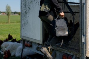 Keep your drinks and food fresh on site with Carhartt’s lunch coolers