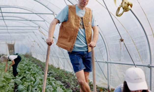 Kitted out for summer: Staying cool this summer and looking great on site and at home in Carhartt workwear