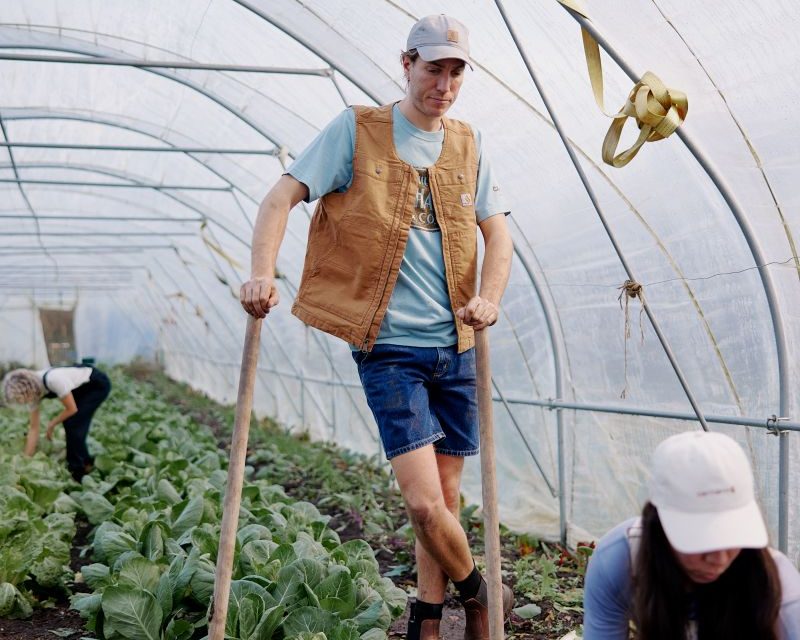 Kitted out for summer: Staying cool this summer and looking great on site and at home in Carhartt workwear