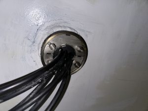 IMG 0323