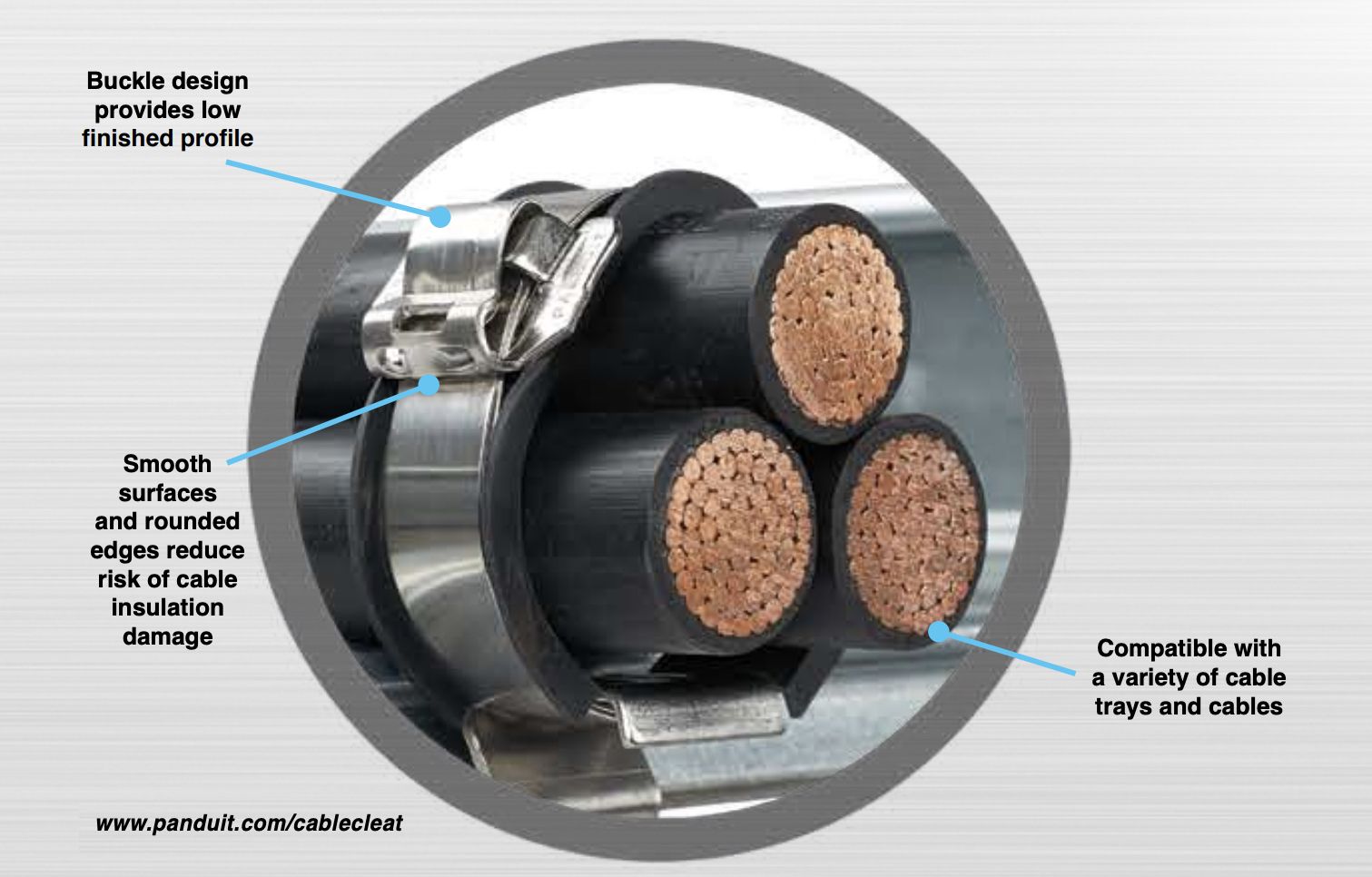 Panduit Buckle Cable Strap
