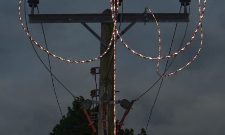 PENTA UKI: A Century of Excellence in Portable Earthing Solutions