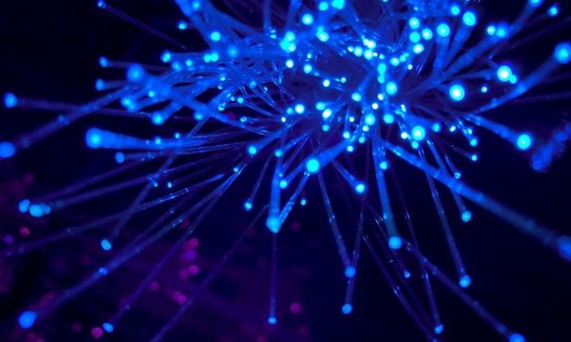 TrustInSoft Confirms Alignment with CISA Cybersecurity Initiative