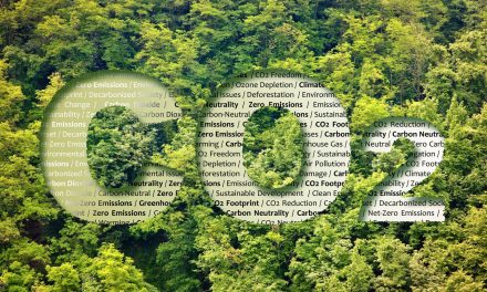 How Net Zero Acceleration Can Transform the UK Economy